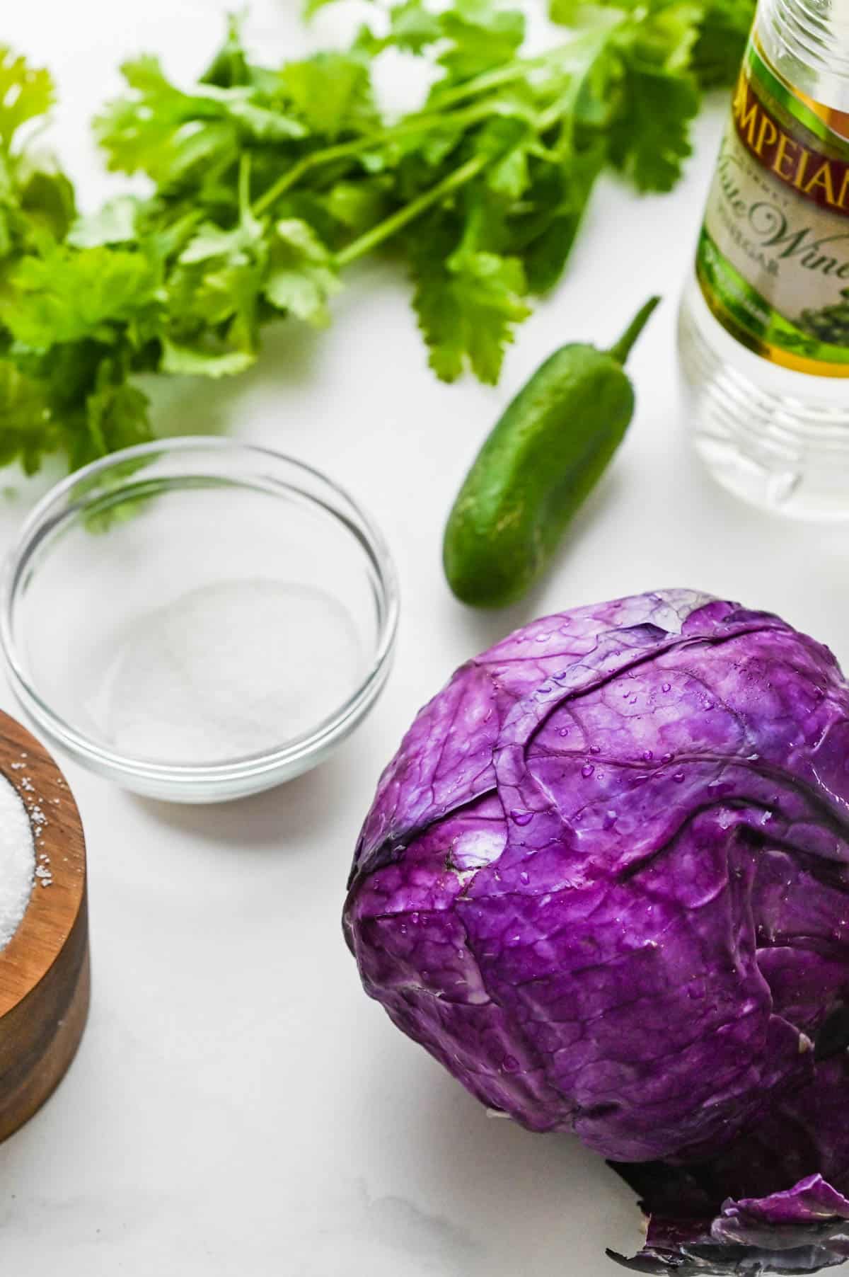 Red cabbage with salt, sugar, jalapeno, cilantro, and vinegar.