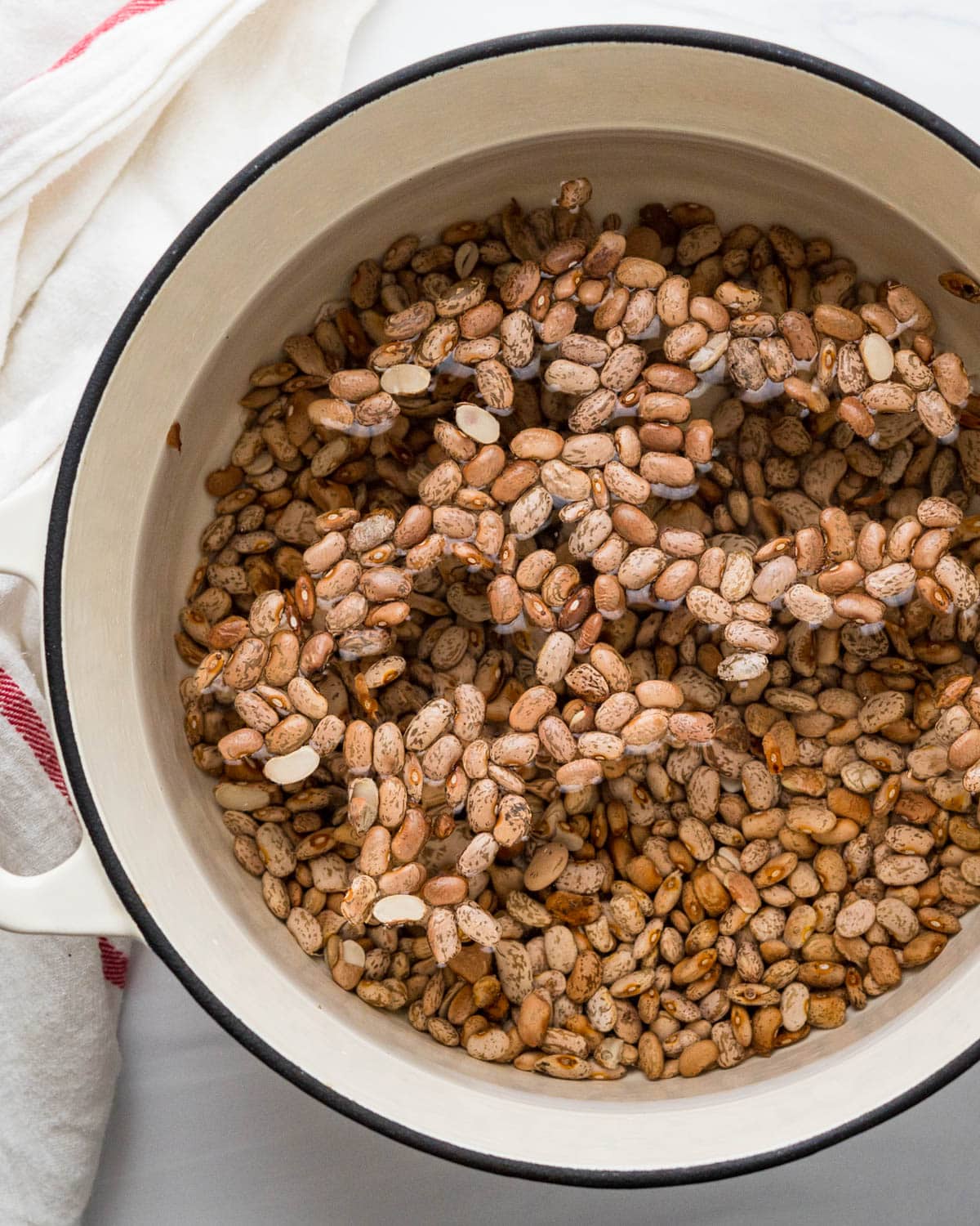 Soaking dried pinto beans in water.