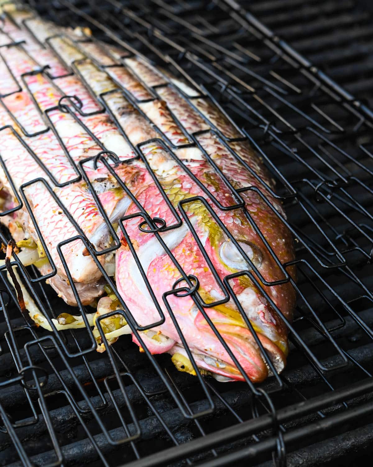 Grilling the yellowtail snapper.