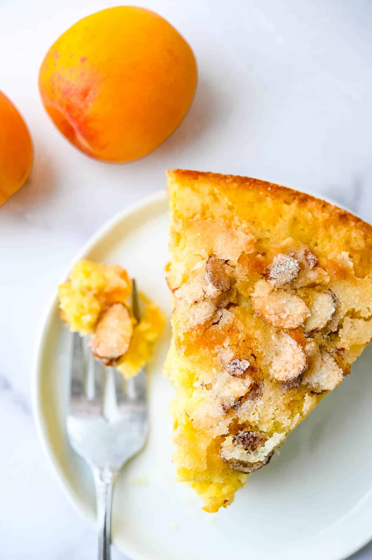 A slice of the apricot cake with sugared almonds on top.