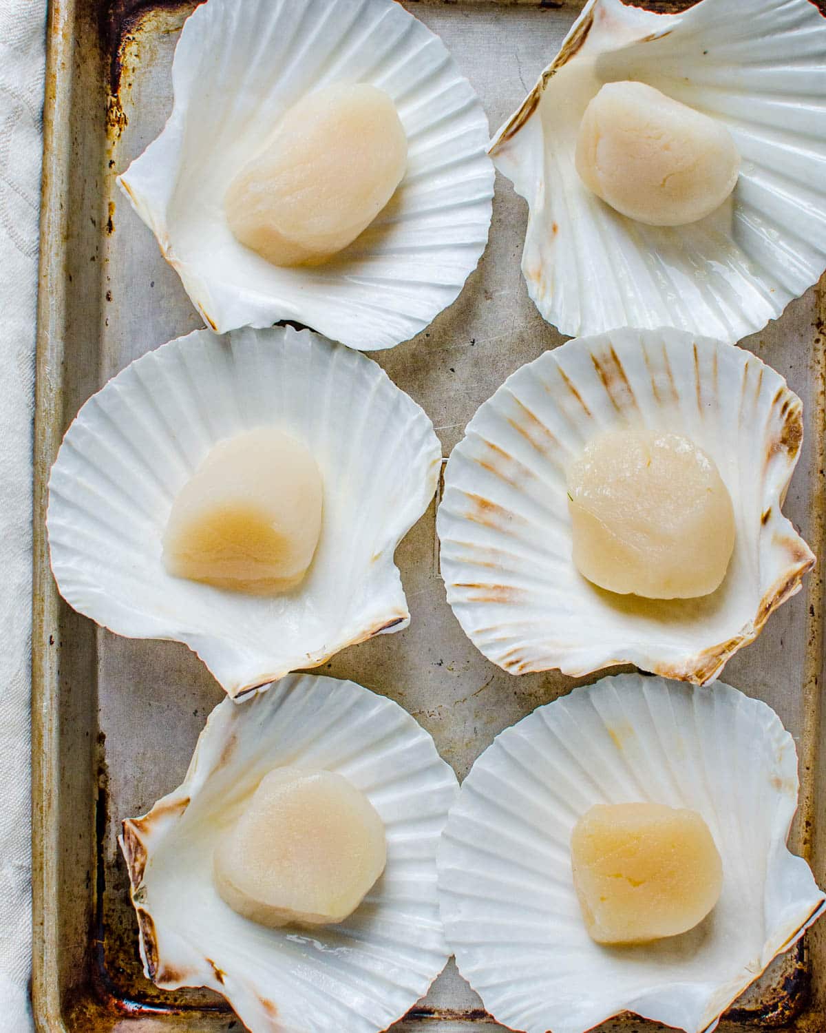 Placing one scallop into individual scallop shells.