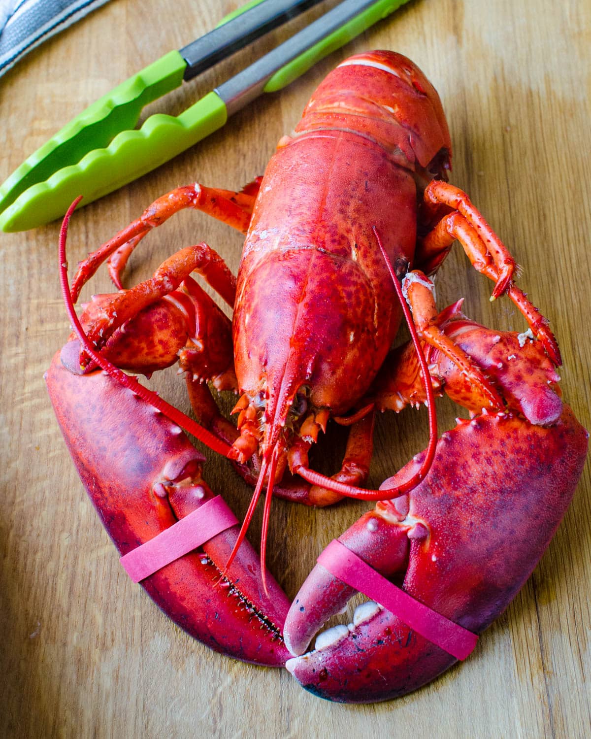 A cooked Maine lobster just plucked from the pot.