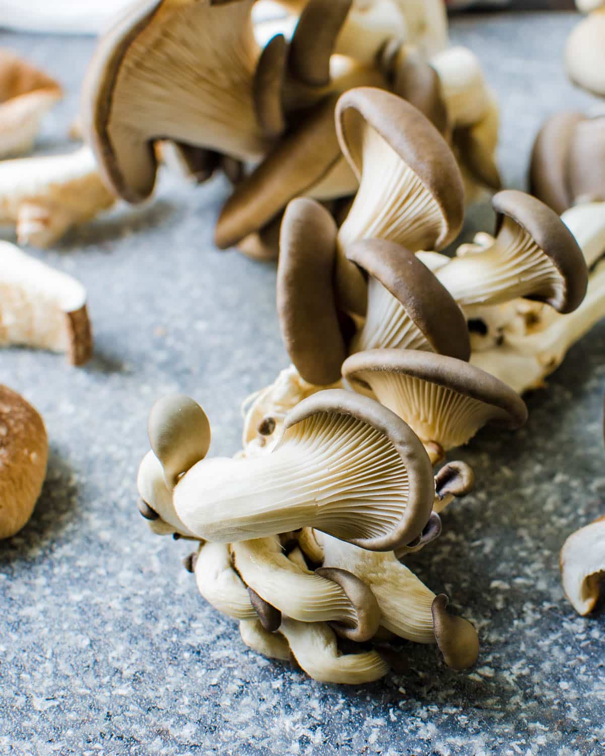 Assorted wild mushrooms.