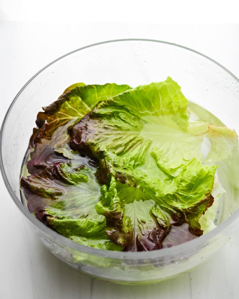 rinsing lettuce in a bowl of water.