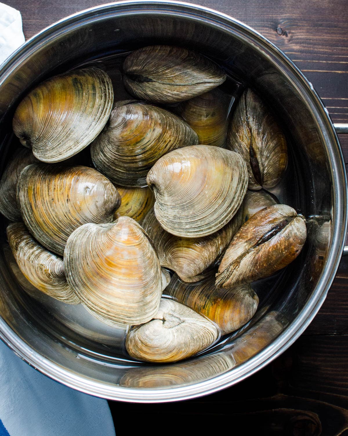 Cherrystone clams in a large stock pot.