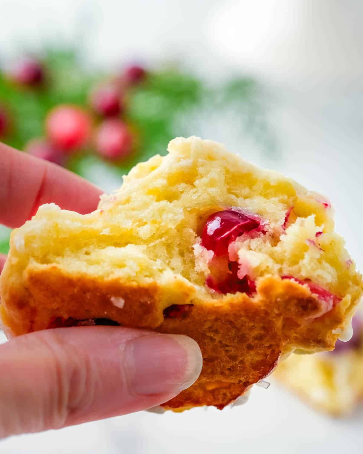Breaking open the orange scone to show the cranberries and the buttery, flaky interior.