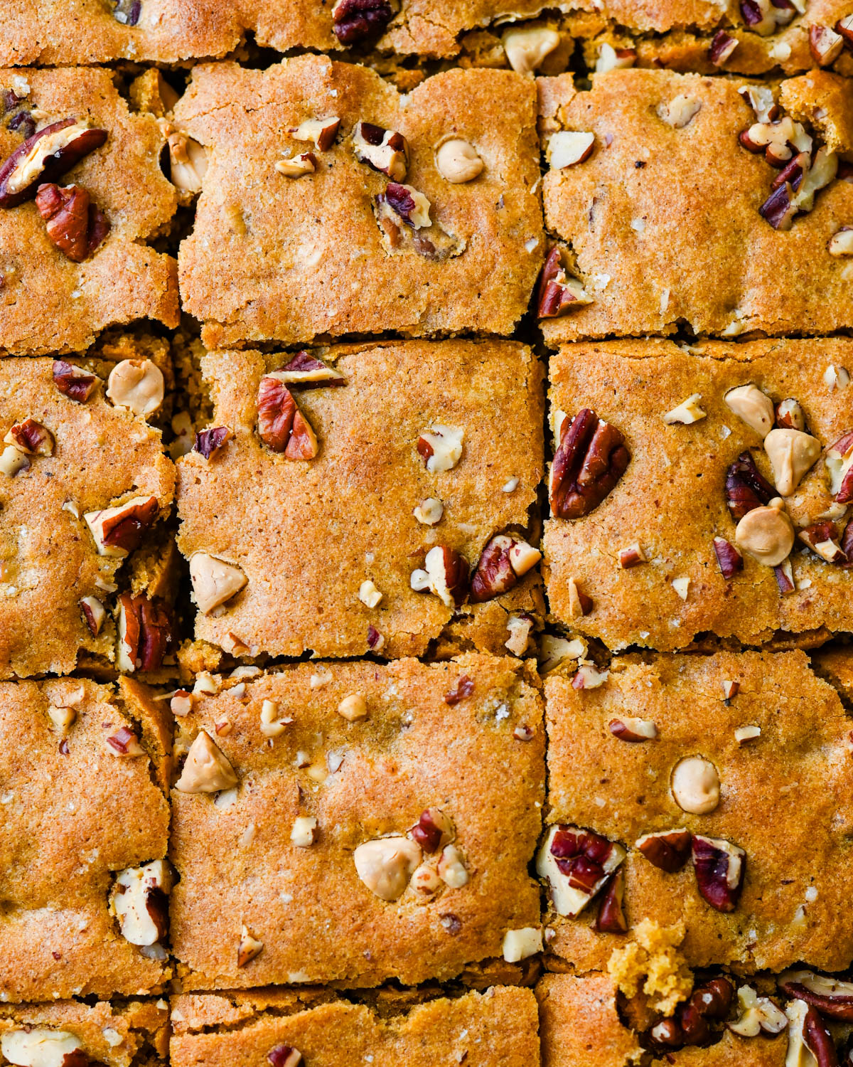 The sliced blondies speckled with pecans and white chocolate chips.