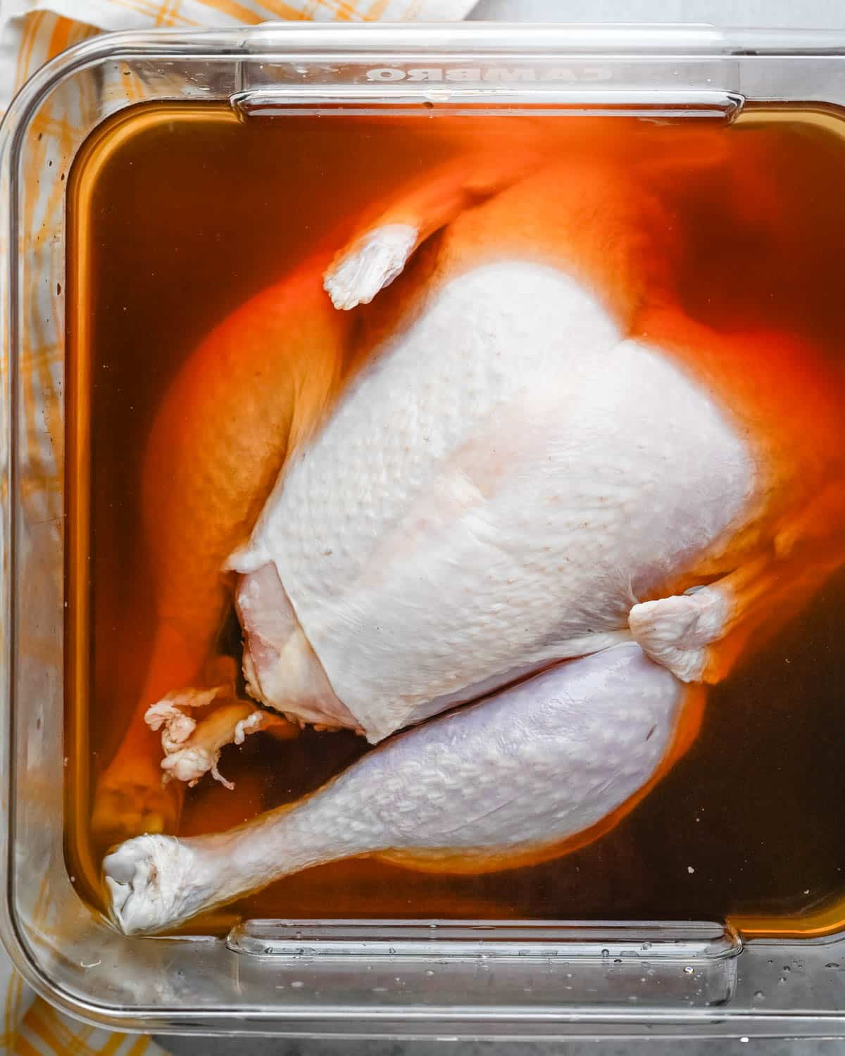 Brining the turkey in a large receptacle. 
