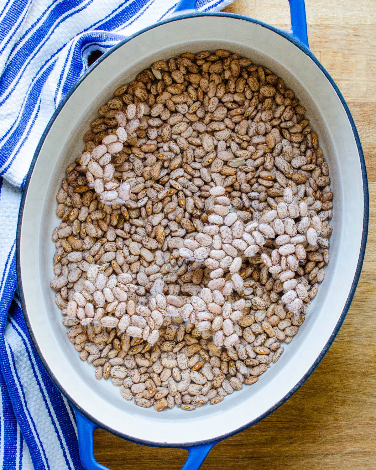 Soaking dried pinto beans in water.