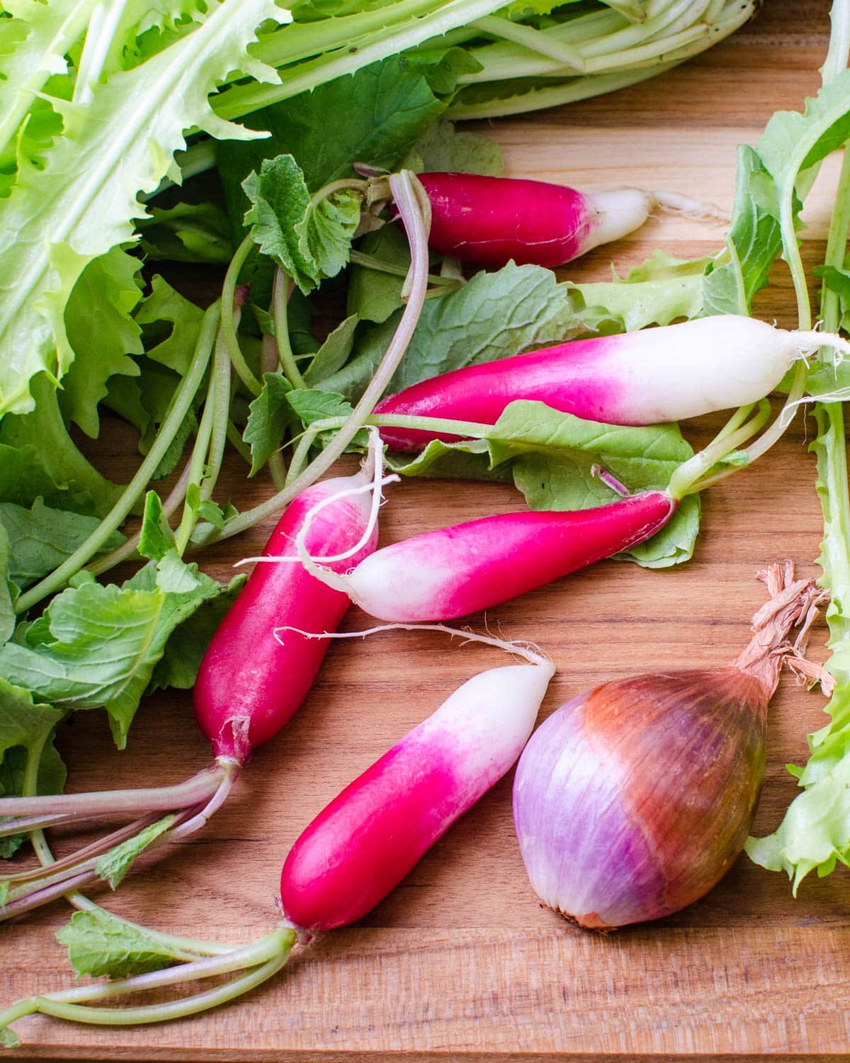 French radishes and frisee lettuce.