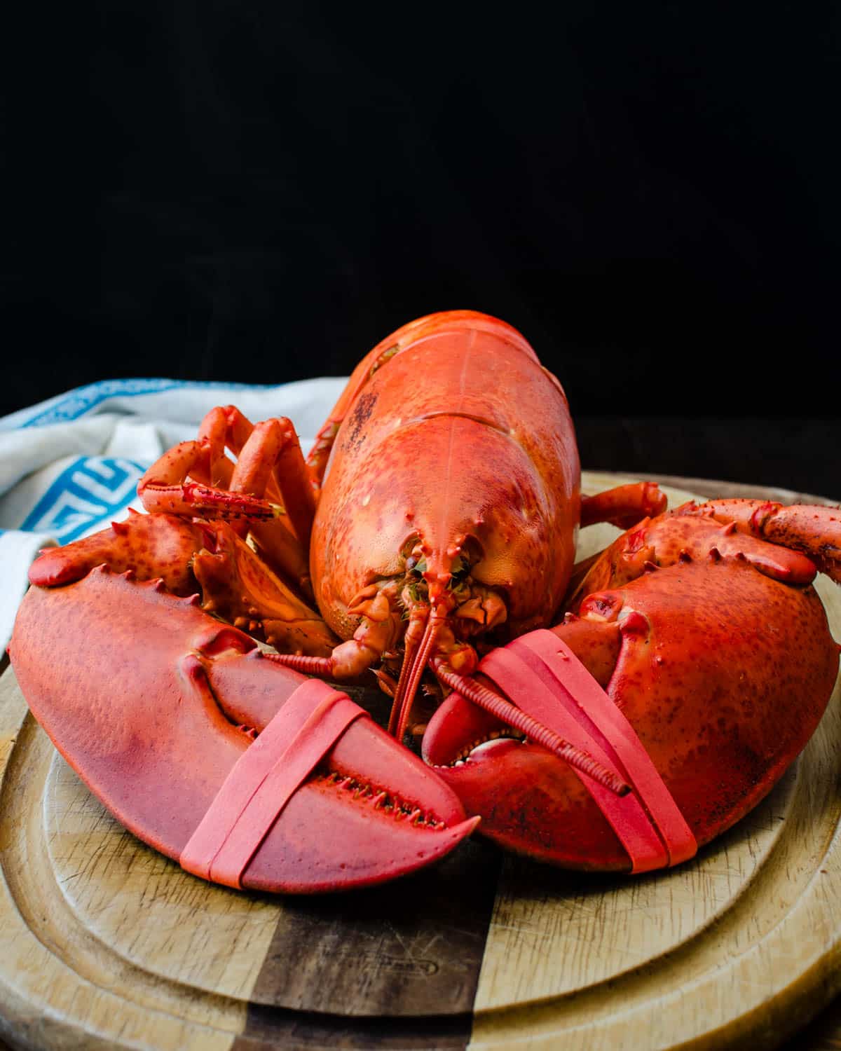 A cooked Maine lobster. 
