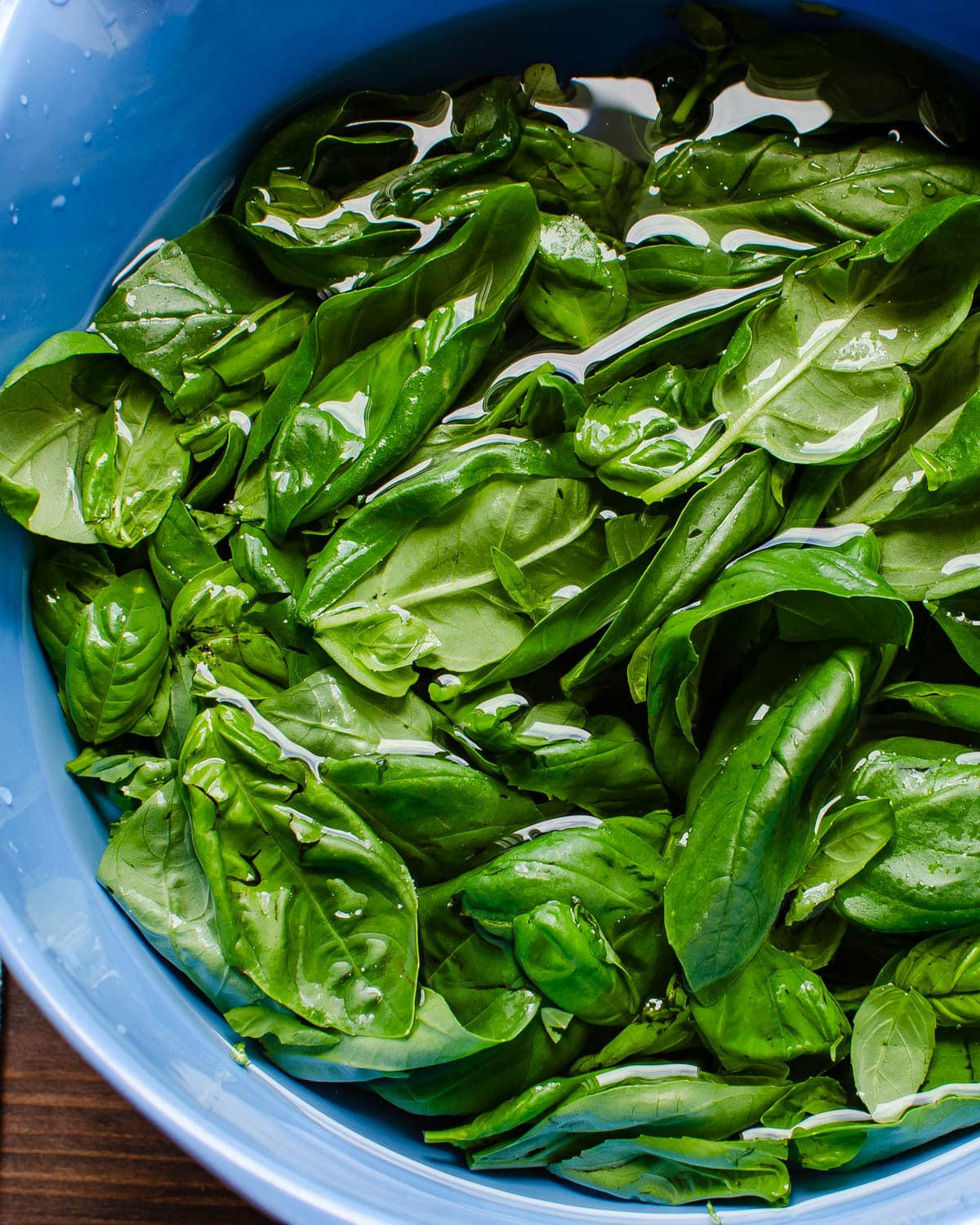 Rinsing the basil in a bowl of water.