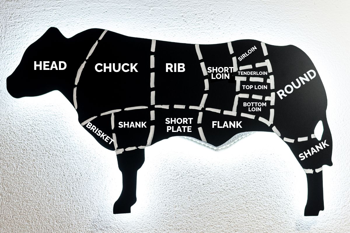an infographic on the cuts of beef from a cow.