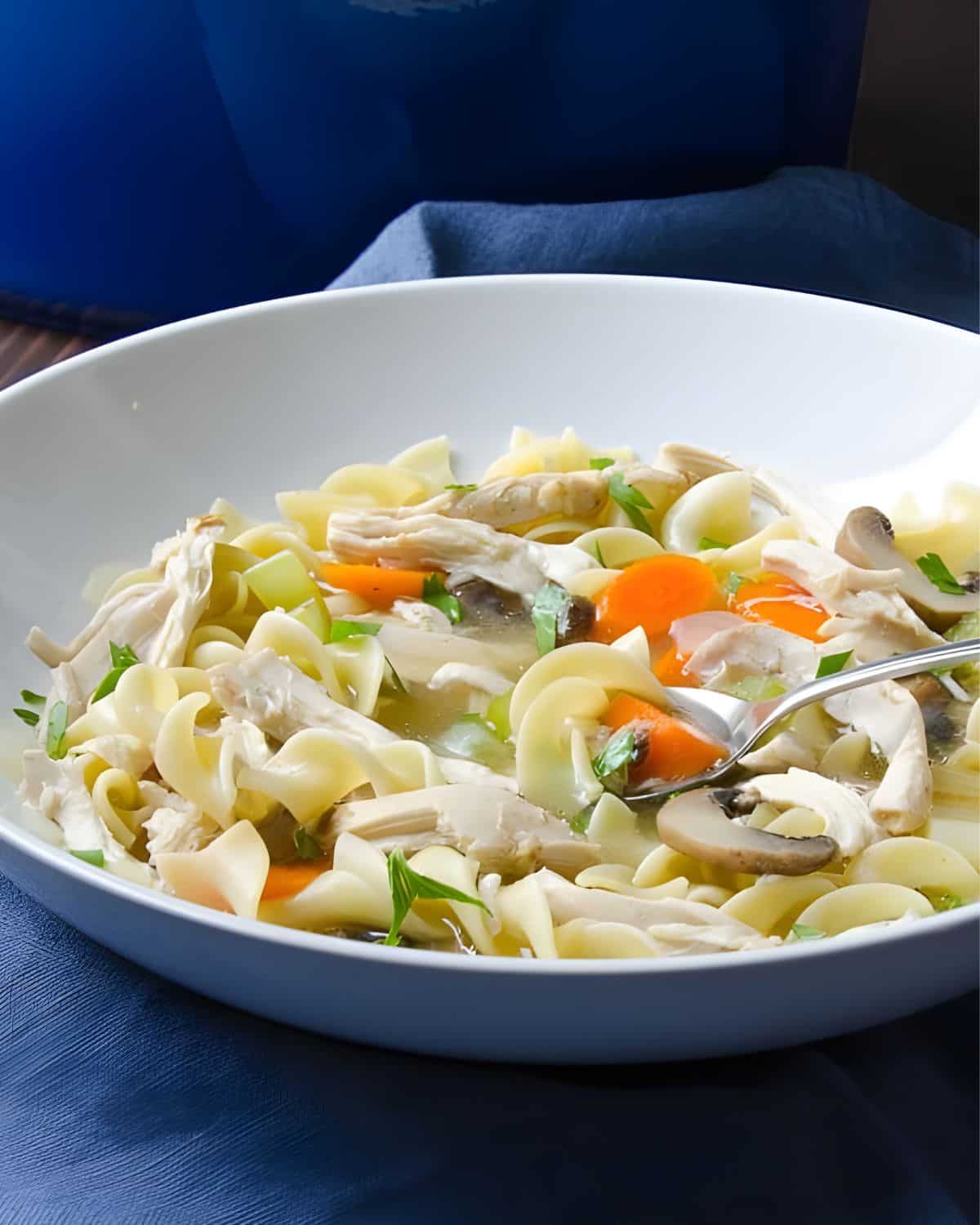 A large bowl of chicken mushroom noodle soup.