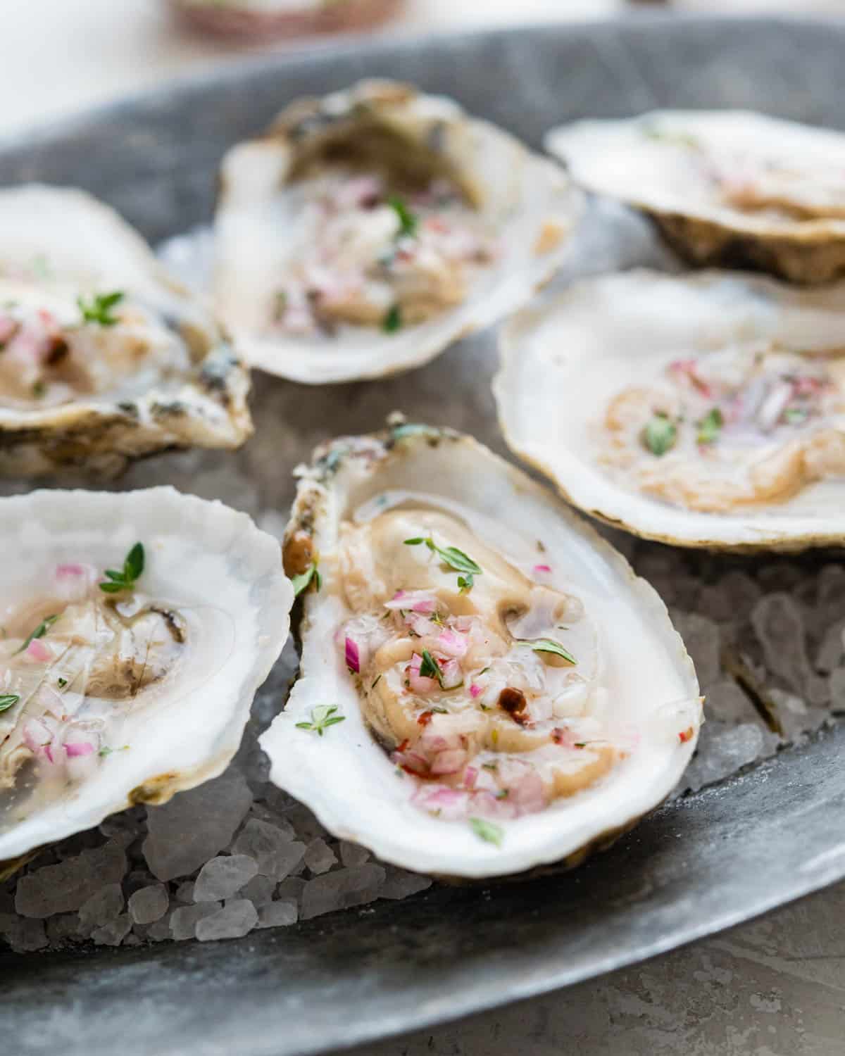 A closeup of the half shell oysters on a bed of rock salt.