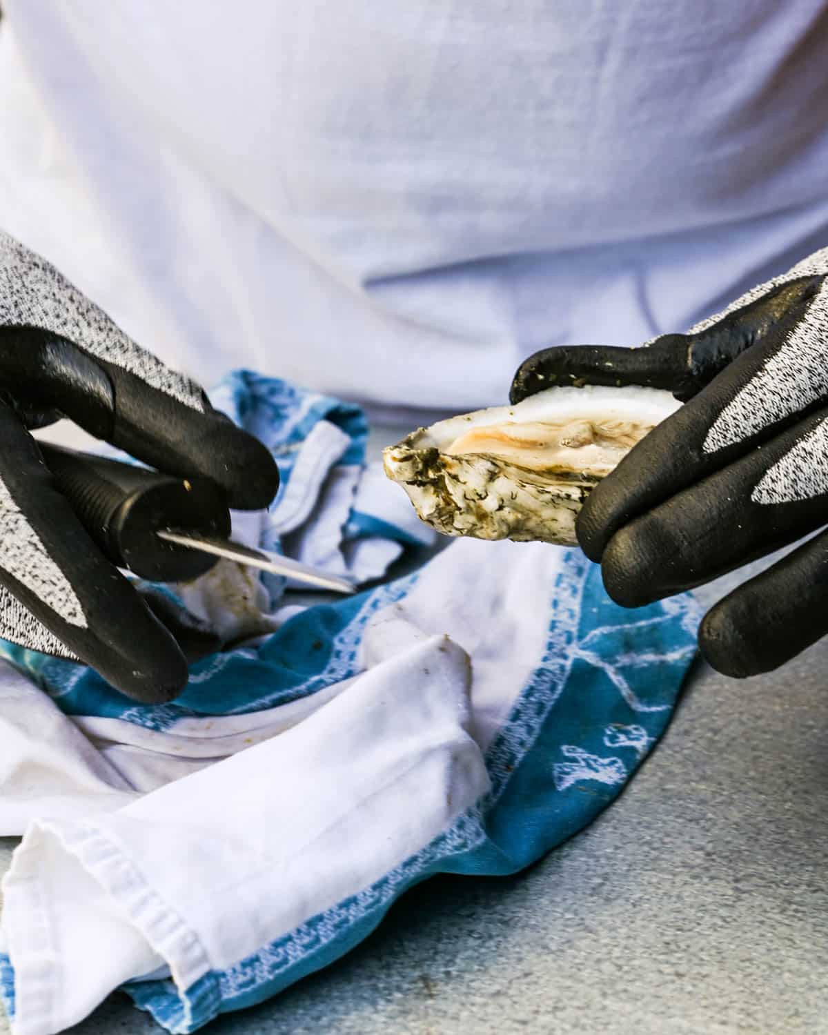 A shucked oyster in the shell.