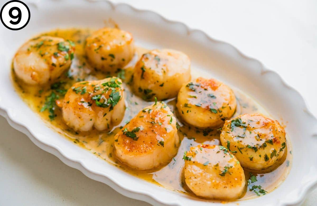 Drizzle the white wine sauce over the seared scallops and serve.