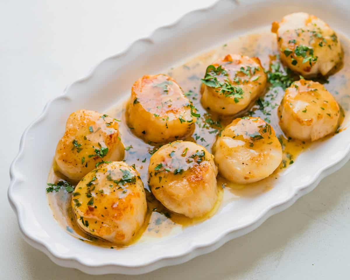 seared pan scallops on a serving dish with white wine sauce.