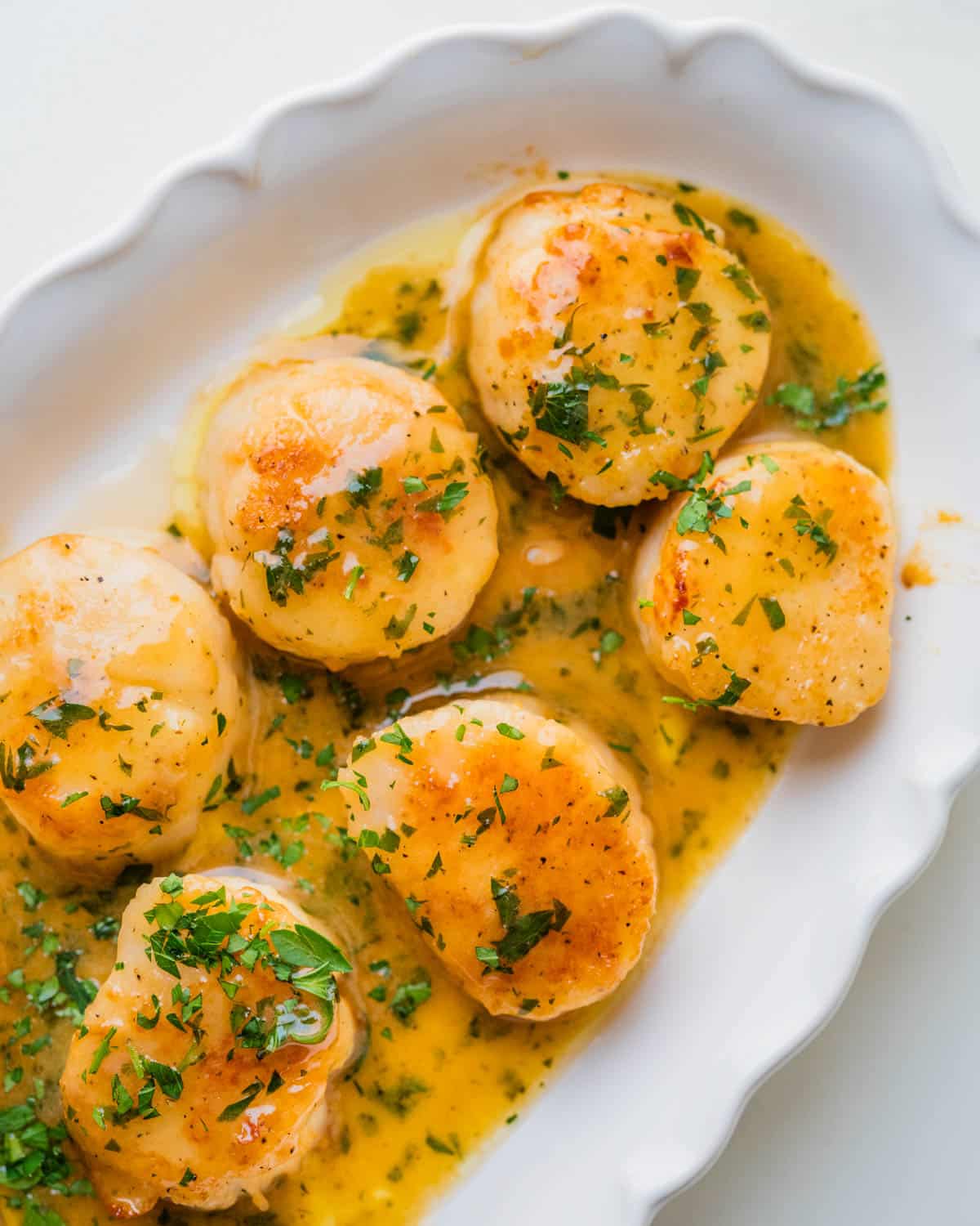 A plate of scallops with white wine sauce.