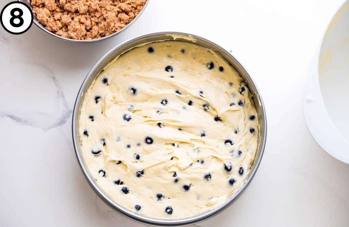 Transfer the batter to a prepared springform pan.