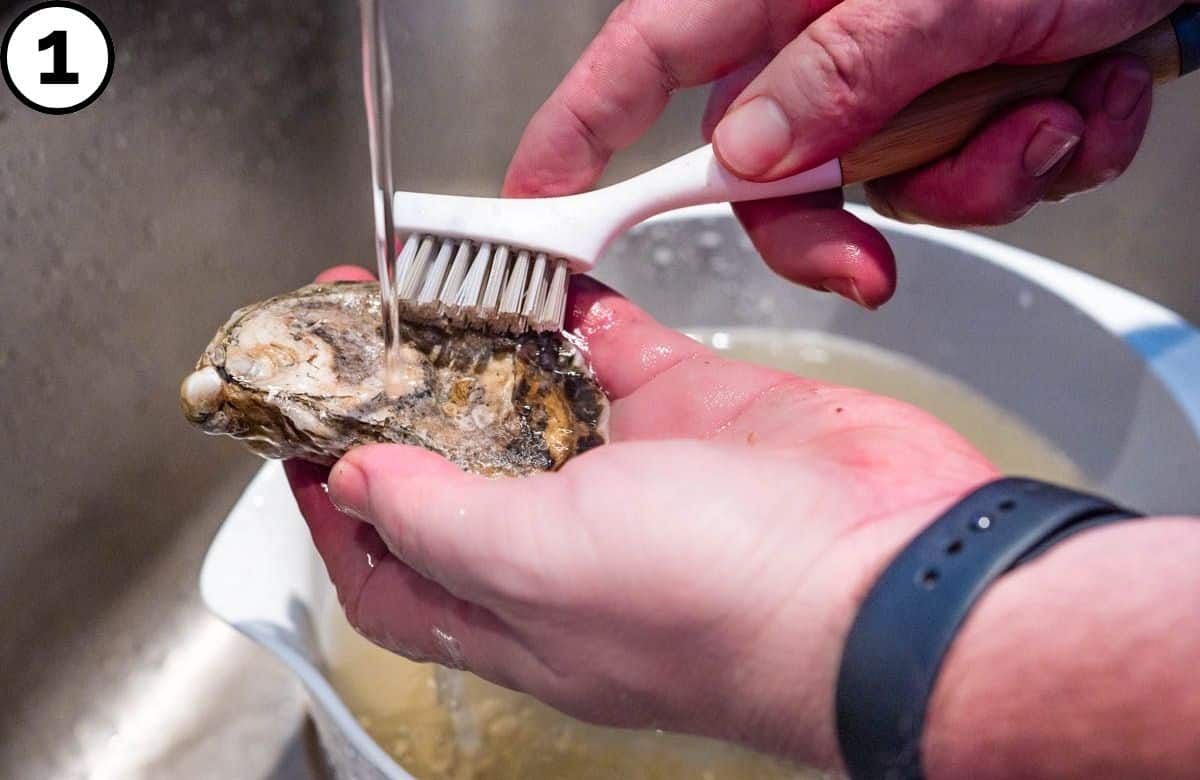 Washing the oysters under running water with a brush.
