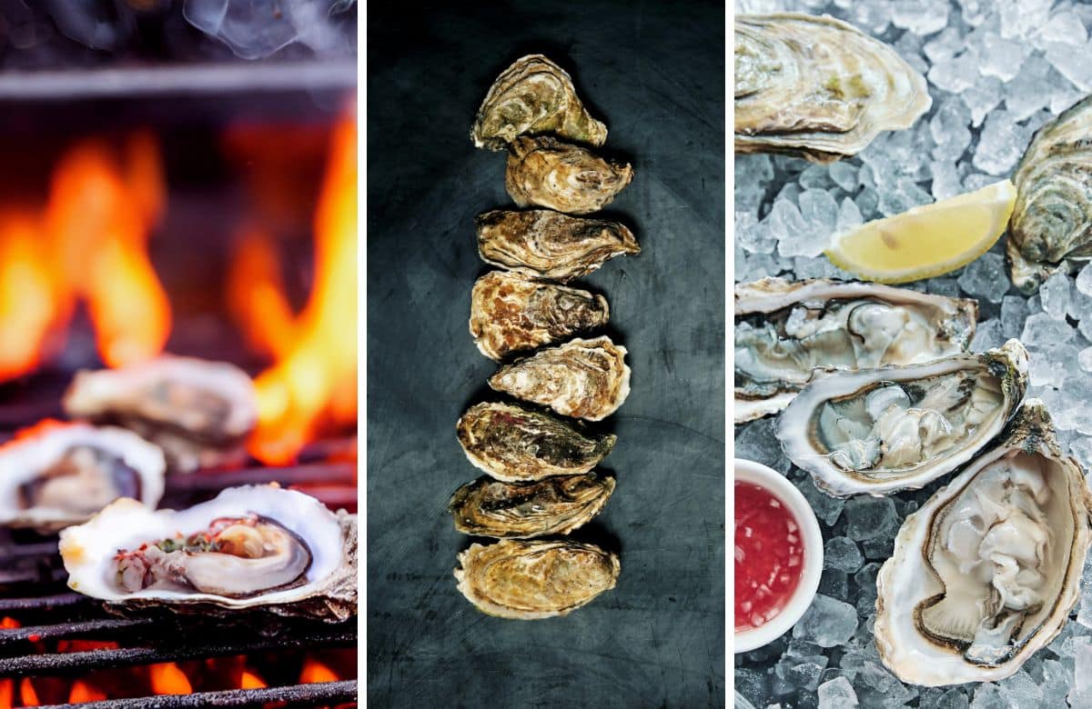 a collage of oysters.