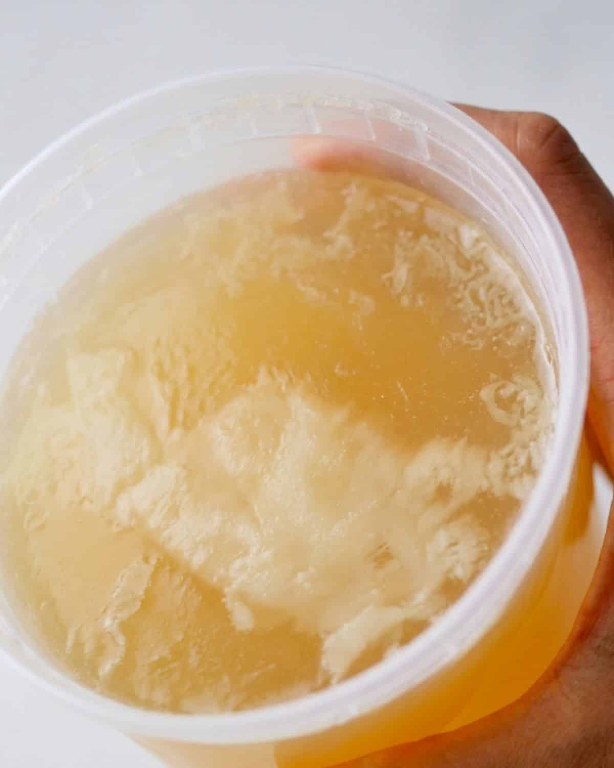 Chilled fish stock that's gelatinous.